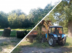 Власти Ростова рассказали, что будет с пляжем на Зеленом острове