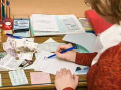 Родителей школьников заставляют шесть лет платить кредит за турникет в Ростове