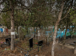 В Ростовской области арестовали 42-летнего похитителя кладбищенской оградки