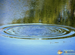 В Ростовской области утонул 8-летний мальчик