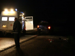 Мужчина с тремя сыновьями серьезно пострадали в ДТП на федеральной трассе под Ростовом