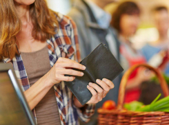 Эксперты подсчитали во сколько обходится жизнь среднестатистического ростовчанина