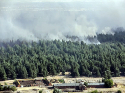 Тысяча человек пытается усмирить колоссальный природный пожар в Ростовской области