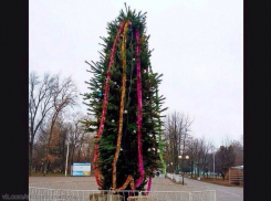 Ростовчане: На елке в Шахтах точно не снимут игрушки