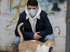 Жителей Ростовской области обяжут носить маски в общественных местах