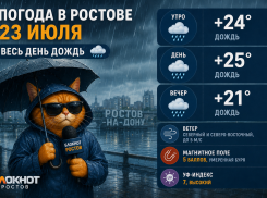В Ростове 23 июля весь день будет идти дождь
