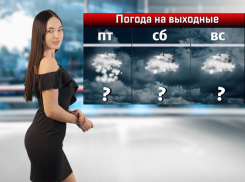 Мокрый снег и потепление ожидаются на выходных в Ростове-на-Дону