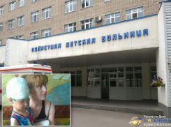 В Ростовской области проводится доследственная проверка по факту нападения собаки на 5-летнюю девочку