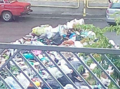 «Мусорную войну» объявили коммунальщики в Ростовской области