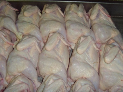 Ветеринары оштрафовали перевозчиков почти 150 куриных тушек, предназначенных для продажи в Ростове