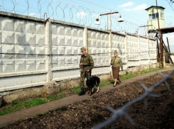 В Ростовской области из колонии сбежали три зека