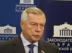 Василий Голубев высказался о наделении землей или сертификатами семей погибших участников СВО