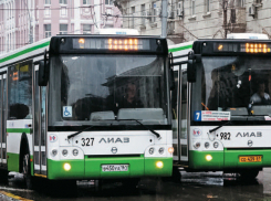 Посадить водителей маршруток на голый оклад и запретить им разгоняться более 50 км\ч требует житель Ростова