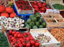 Власти Ростовской области опровергли закрытие овощного рынка «Алмаз»