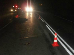 Девушка из Ставрополья погибла на трассе под колесами дальнобойщика из Ростова