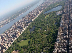 Ростовчанин предложил создать Центральный парк Нью-Йорка между Ростов и Батайском