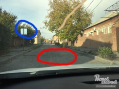Жительницу Ростова чуть не «загрызли» горожане в ответ на ее призыв убрать лежачих полицейских с дороги