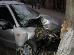Виновник аварии в Ростове бросил погибать пассажира после тарана дерева