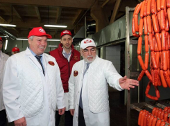 Голубев заявил, что Ростовская область полностью обеспечена продуктами питания