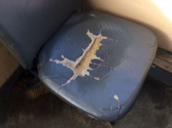 Женская драма с уничтожением колготок произошла в популярной маршрутке Ростова