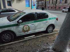 «Побелочной атаке» подверглась машина Россельхозцентра в Ростове