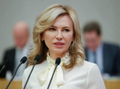 Депутат Госдумы Екатерина Стенякина поддержала запрет на использование телефонов во время урока