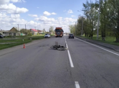 Водитель грузовика из Ростовской области насмерть сбил пожилого велосипедиста под Воронежом