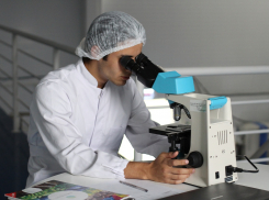 В Ростовской области за сутки выявлено 112 новых случаев коронавируса