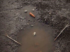 Смешных снеговиков из луж и грязи лепят «от безысходности» жители Ростова