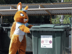 Как и какой мусор выносить ростовчанам на контейнерную площадку