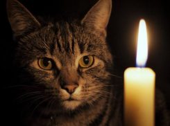 В Ростове сотни домов останутся без электричества с 4 по 8 сентября