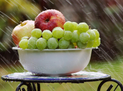 Дождь с грозой и шквалистым ветром ожидаются в Ростове в среду