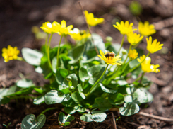 В Ростове потеплеет до +19 градусов 23 марта