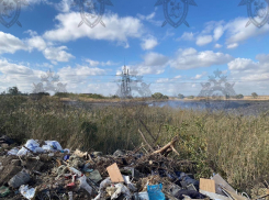 В Ростовской области ликвидировали нелегальный мусорный полигон с площадью более 20 тысяч кв.м