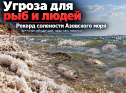 Угроза для рыб и людей: эксперт рассказал, чем опасен исторический рекорд солености Азовского моря