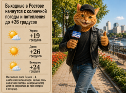Выходные в Ростове начнутся с солнечной погоды и потепления до +26 градусов