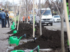 Грандиозная «зеленая» акция с участием Кушнарева состоялась в Ростове