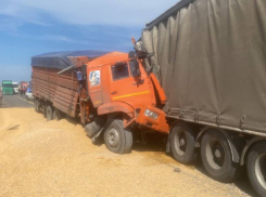 Водитель грузовика погиб в массовой аварии на трассе М-4 «Дон»