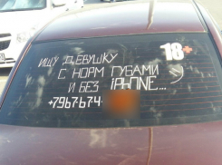 Простую девушку «с нормальными губами» обыскался на дорогах Ростова отчаявшийся автомобилист