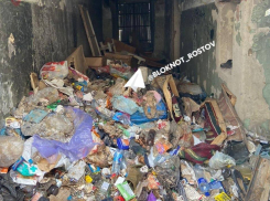 Аварийный дом в центре Ростова превратился в огромную свалку 