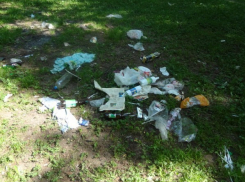 Парк Чуковского напомнил пресс-секретарю Донской митрополии помойку