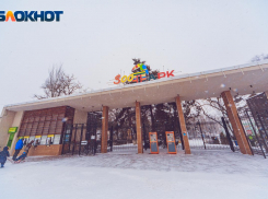 Ростовский-на-Дону зоопарк перешел на докоронавирусный режим работы