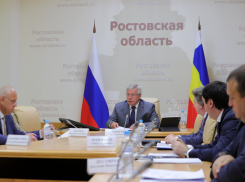В Ростовской области совет по улучшению жизни женщин возглавил мужчина