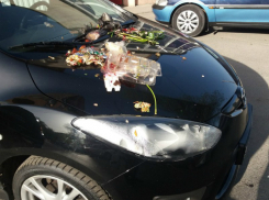 Дорогую красивую иномарку мусорно осквернили ленивые жильцы многоэтажки Ростова