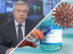 Губернатор Ростовской области положительно оценил темпы вакцинации в регионе