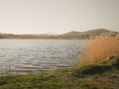 Роспотребнадзор: инфекций и вирусов в водоемах Ростовской области не обнаружено 