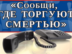 В Ростове пройдет акция «Сообщи, где торгуют смертью»