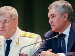 Пенсионерка попросила Чайку и Володина рассмотреть ее уголовное дело на 3 млрд рублей