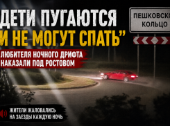 «Дети пугаются и не могут спать»: любителя ночного дрифта наказали под Ростовом
