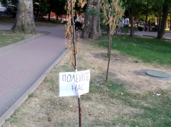 Пока специалисты предлагают превратить левый берег в парк, администрация хочет отдать там все под застройку